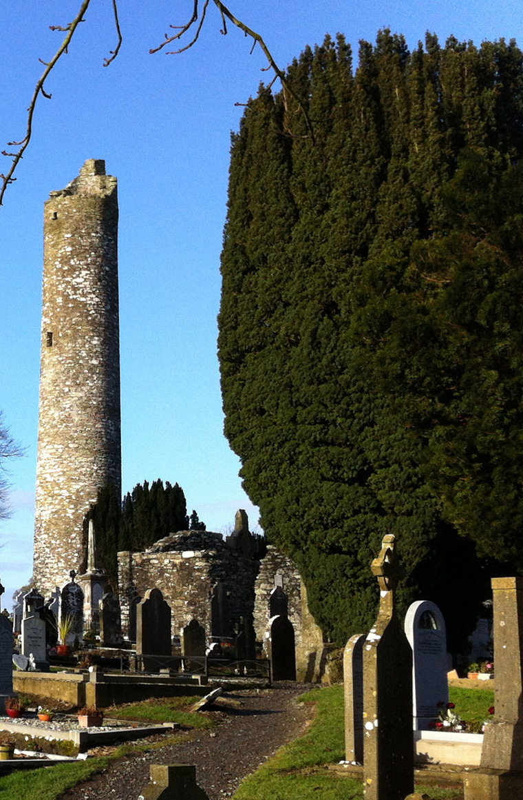 Irish yew trees at Monasterboice
