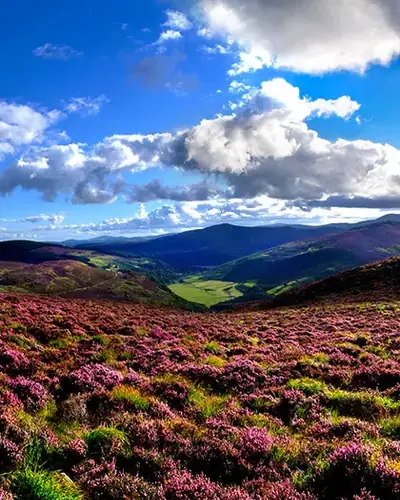 Landscaped gardens and mountain scenery in County Wicklow